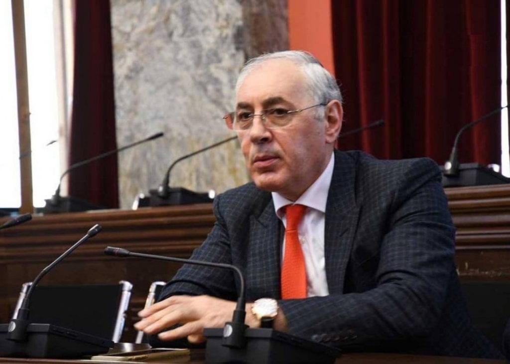 Shota Shalelashvili in Parliament