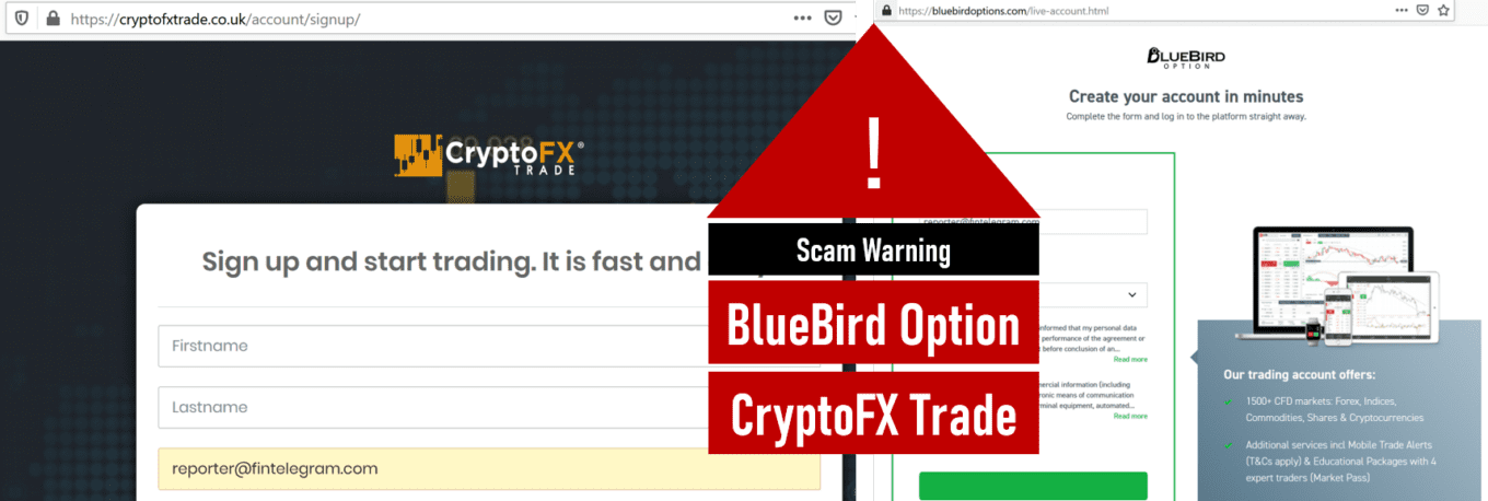 Investor warning against BlueBird Options and CryptoFX scams