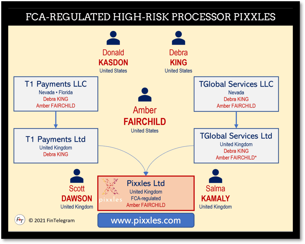 FCA-regulated Pixxles appoints Salma Kamaly as director