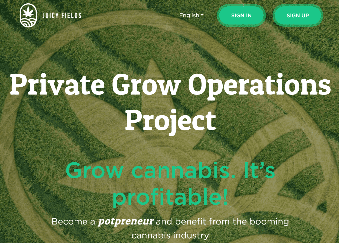 FinTelegram explains the Juicy Fields scheme