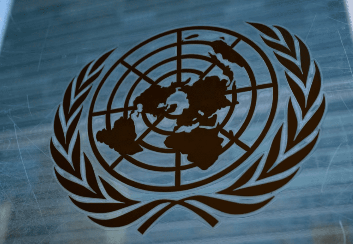 Human Rights Organizations voice concern over UN Cybercrime treaty