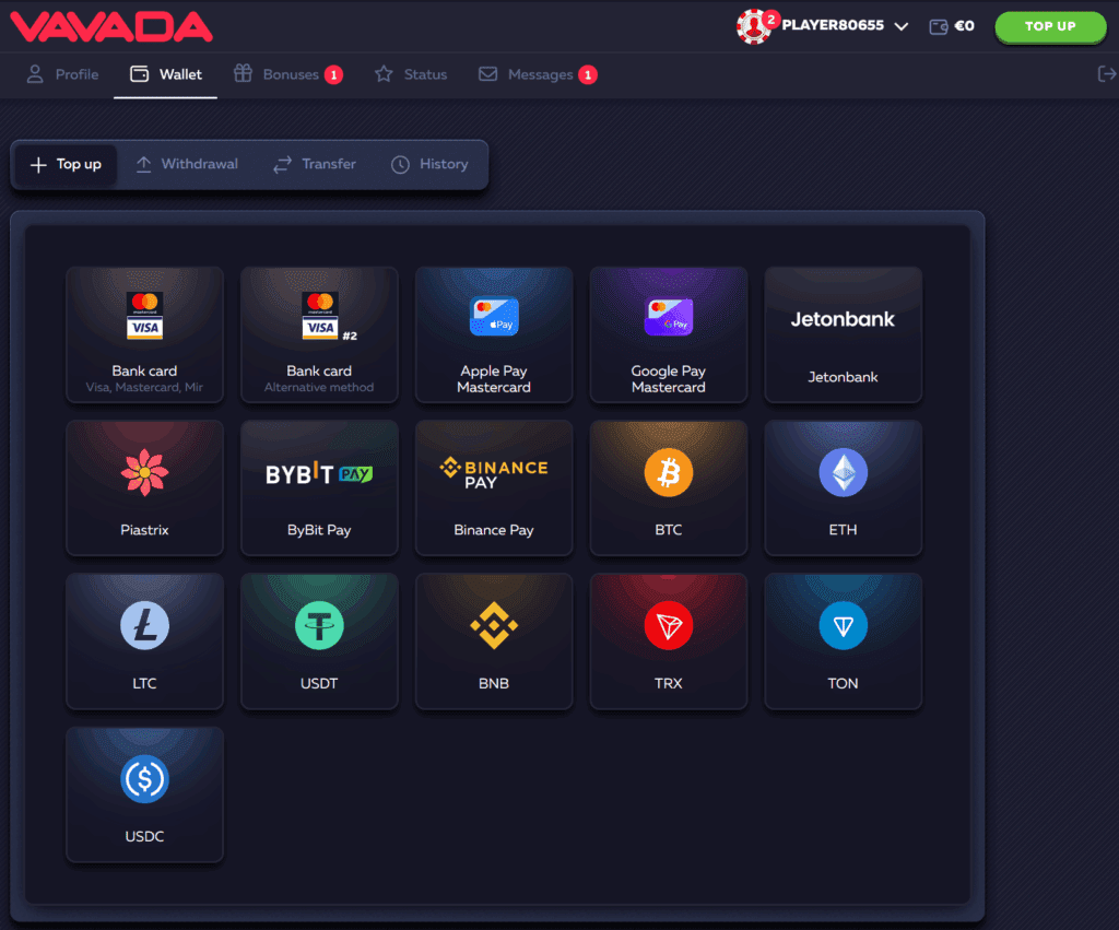Vavada payment options