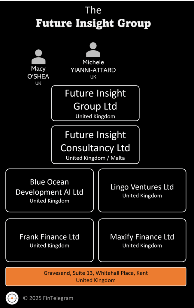 The Future Insight Group and ist network of illegal payment agents