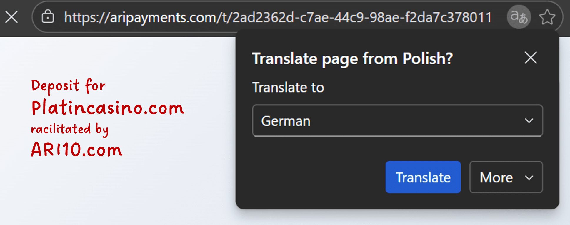 ARIPAyments.com powered by ARI10 and Bitcan facilitate deposits to illegal offshore casino PlatinCasino