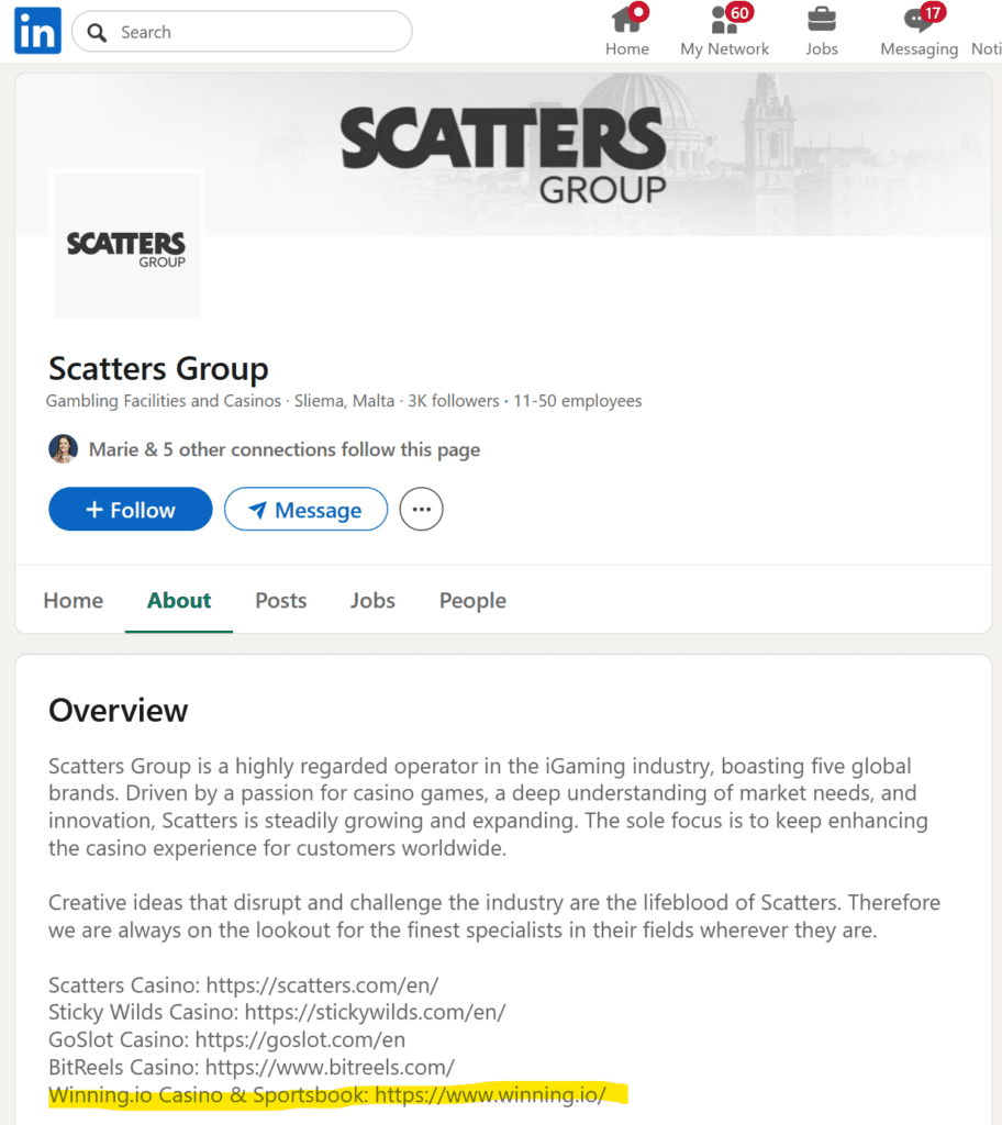 Scatters Group shows Winning.io as its casino brand on LinkedIn